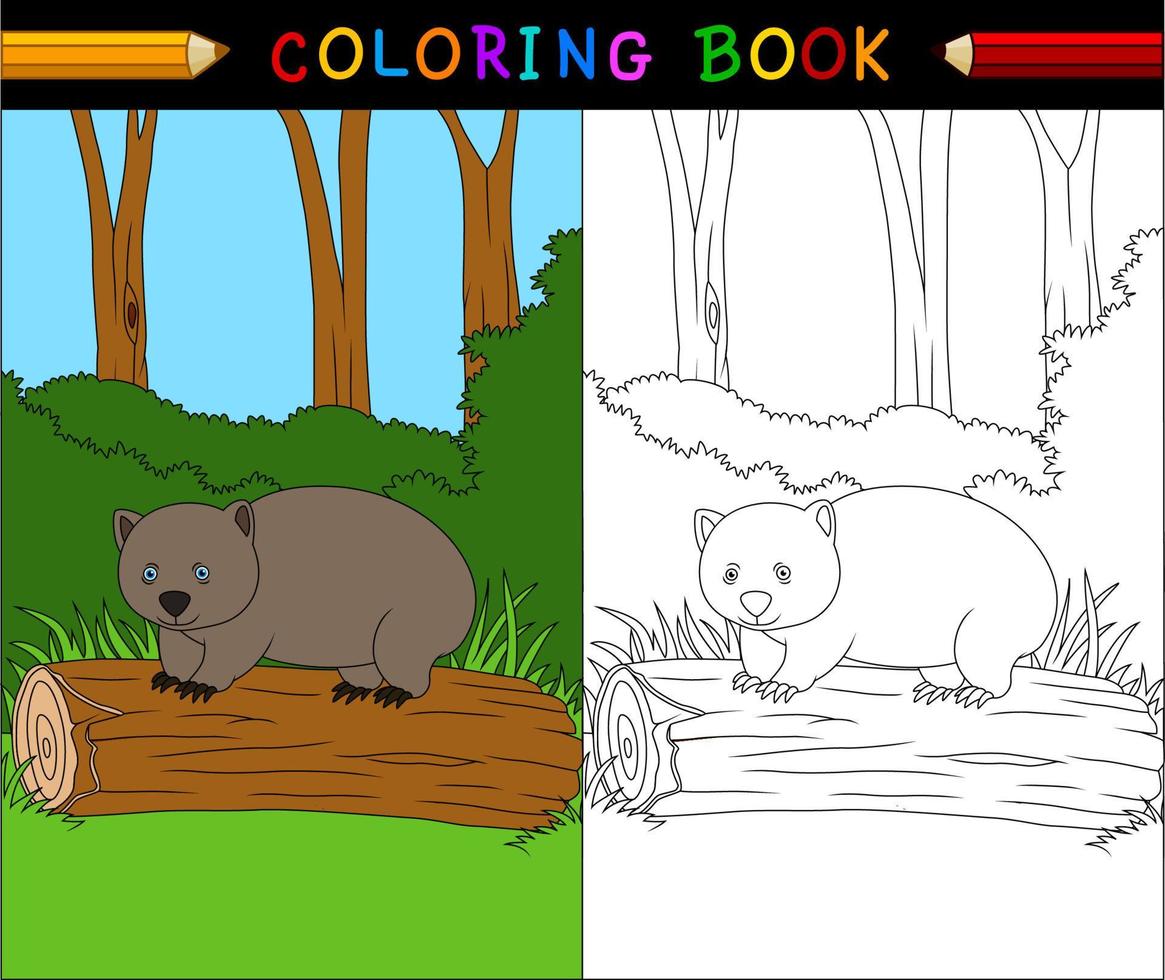 ilustración vectorial del libro de colorear wombat de dibujos animados vector