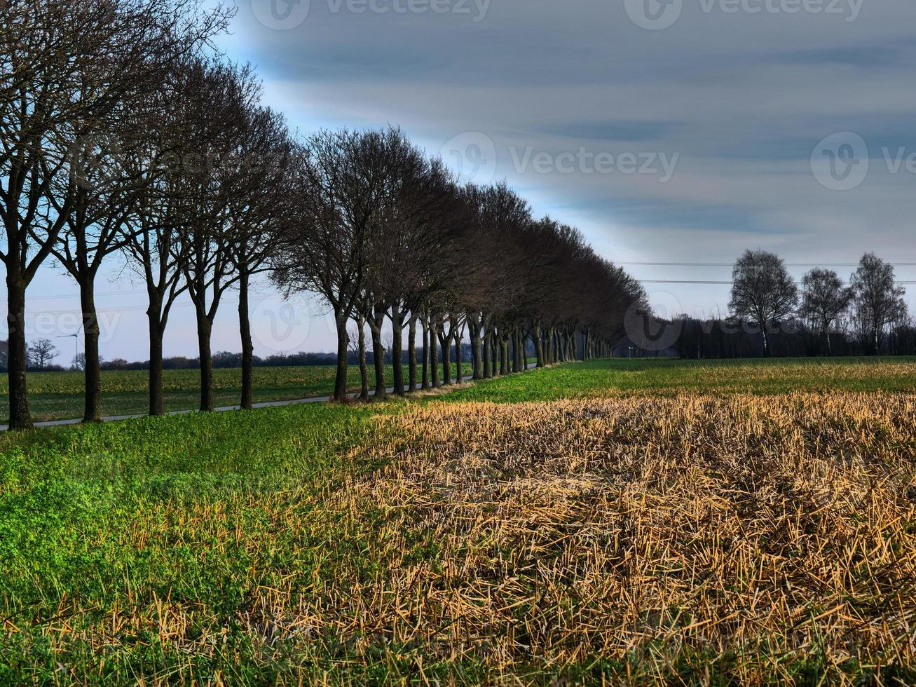 in the german muensterland photo