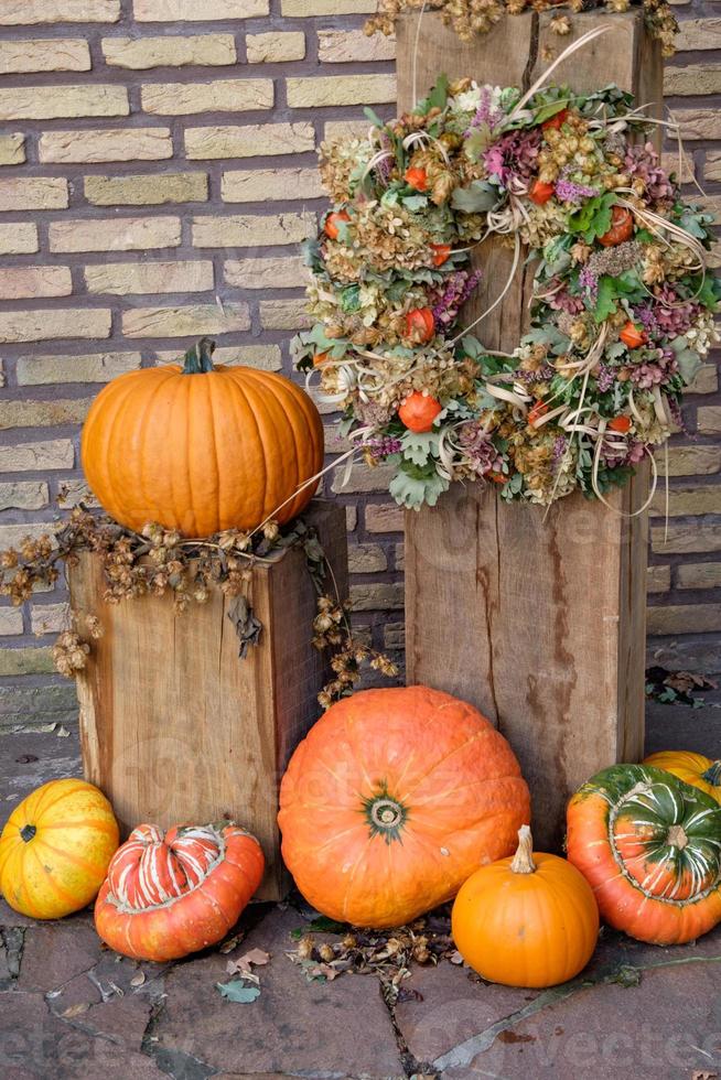 calabazas en westfalia foto