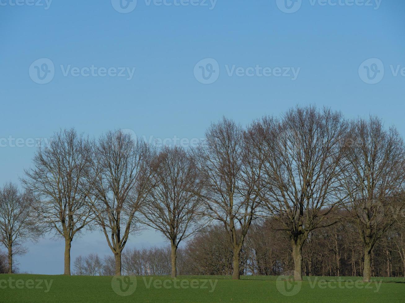 the german muensterland photo