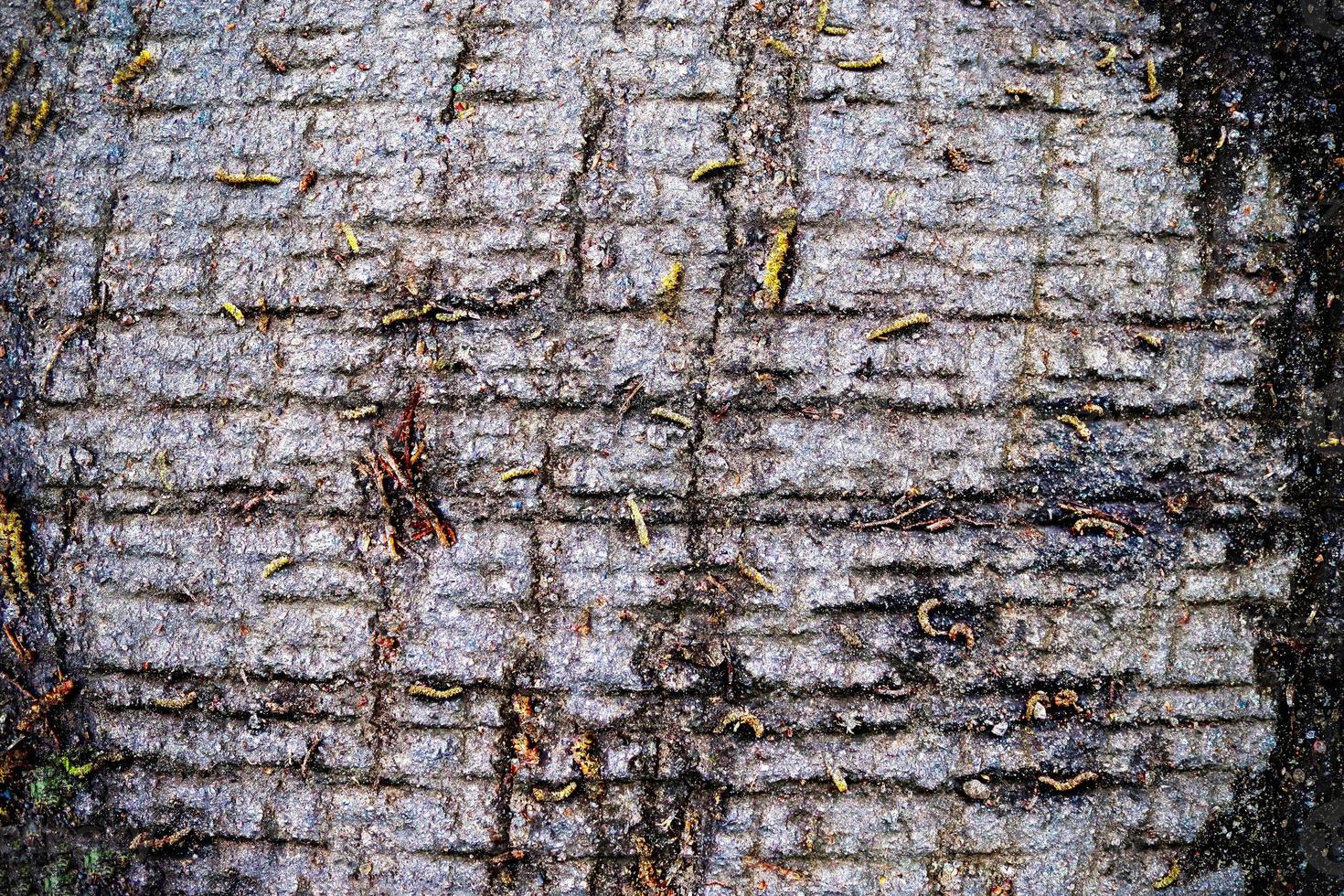 Detailed view on asphalt surfaces of different streets and roads with cracks photo