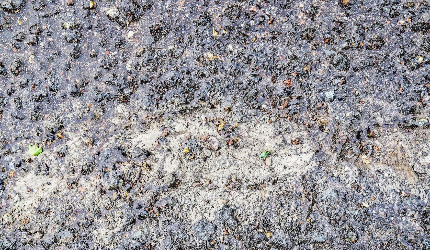 Detailed view on asphalt surfaces of different streets and roads with cracks photo