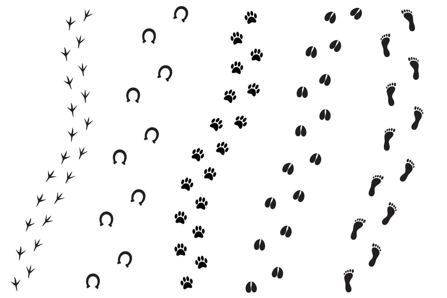 Set of footprint vector