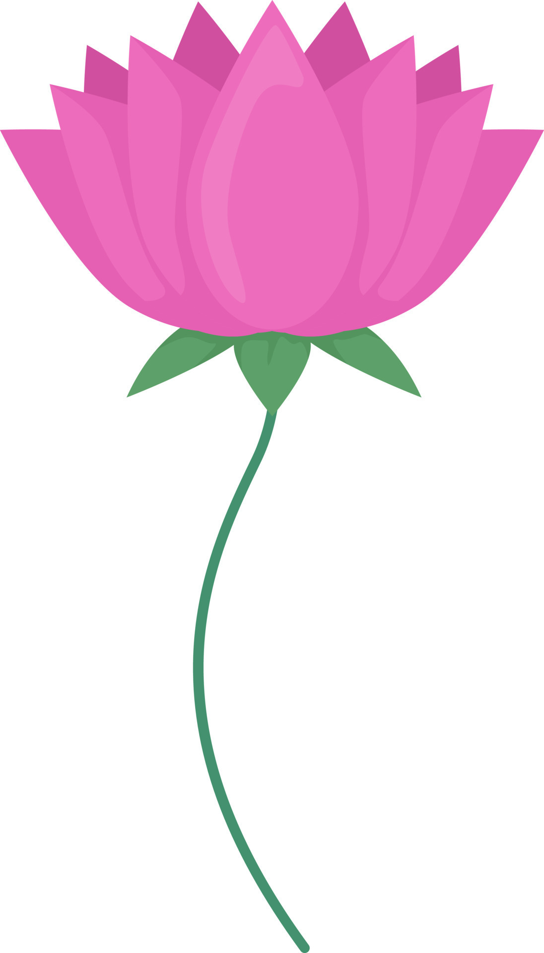 Pink blooming flower semi flat color vector object. Editable element. Full sized item on white. Diwali decoration. Indian lotus simple cartoon style illustration for web graphic design and animation 11808849 Vector Art Pink blooming flower semi flat color vector object. Editable element. Full sized item on white. Diwali decoration. Indian lotus simple cartoon style illustration for web graphic design and animation 11808849 Vector Art