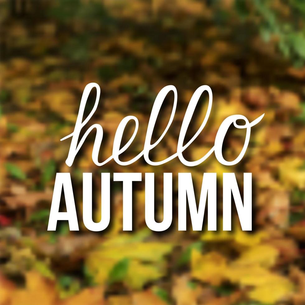 Writing Hello autumn on blurred background of colorful fallen leaves. Autumn vector illustration.