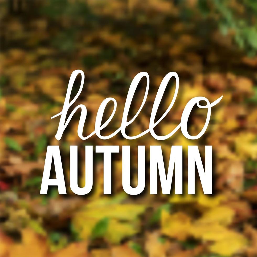 Writing Hello autumn on blurred background of colorful fallen leaves. Autumn vector illustration.