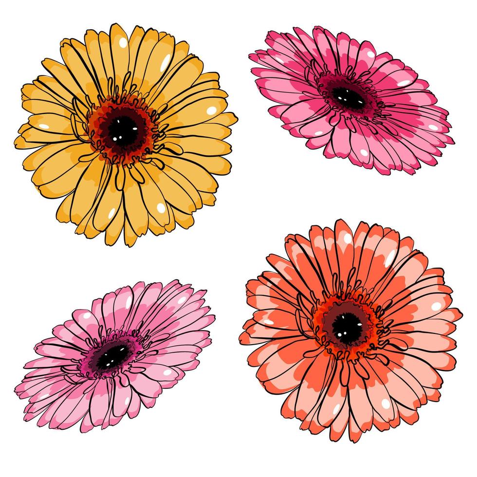 cuatro cabezas de flores de gerbera de diferentes colores en técnica plana vector