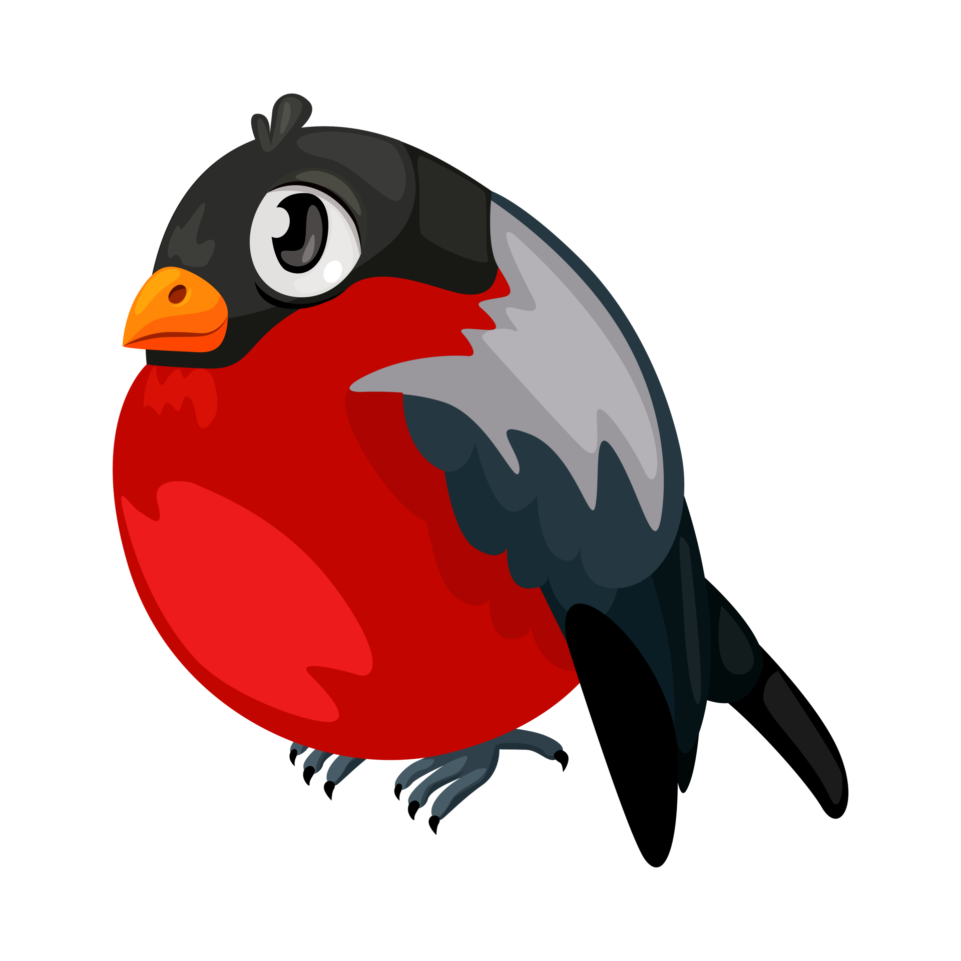 Beautiful cartoon bullfinch. Bird illustration 11809087 PNG