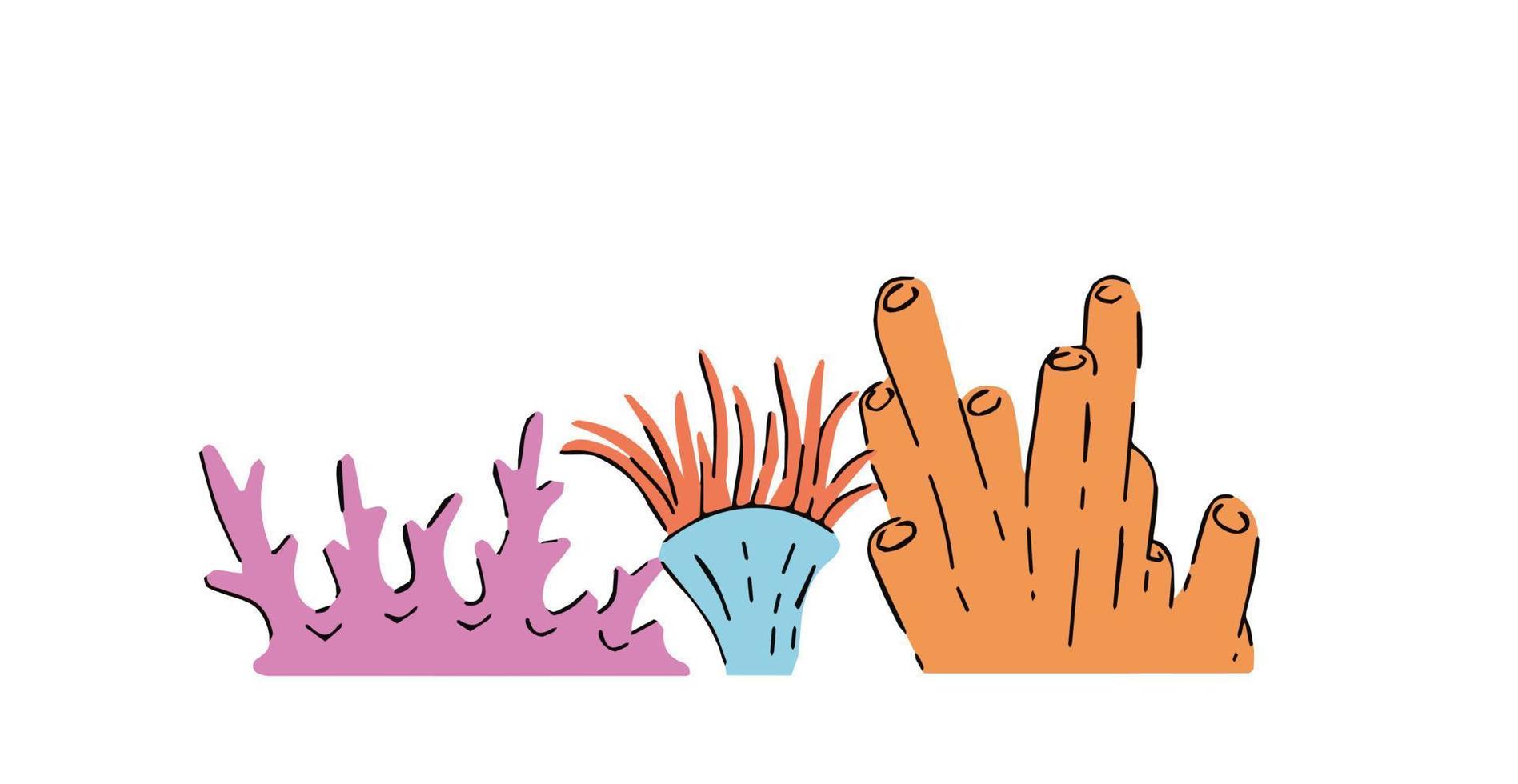 Sea sponge. Colonial marine animal anemone. Underwater tropical exotic reef plant vector