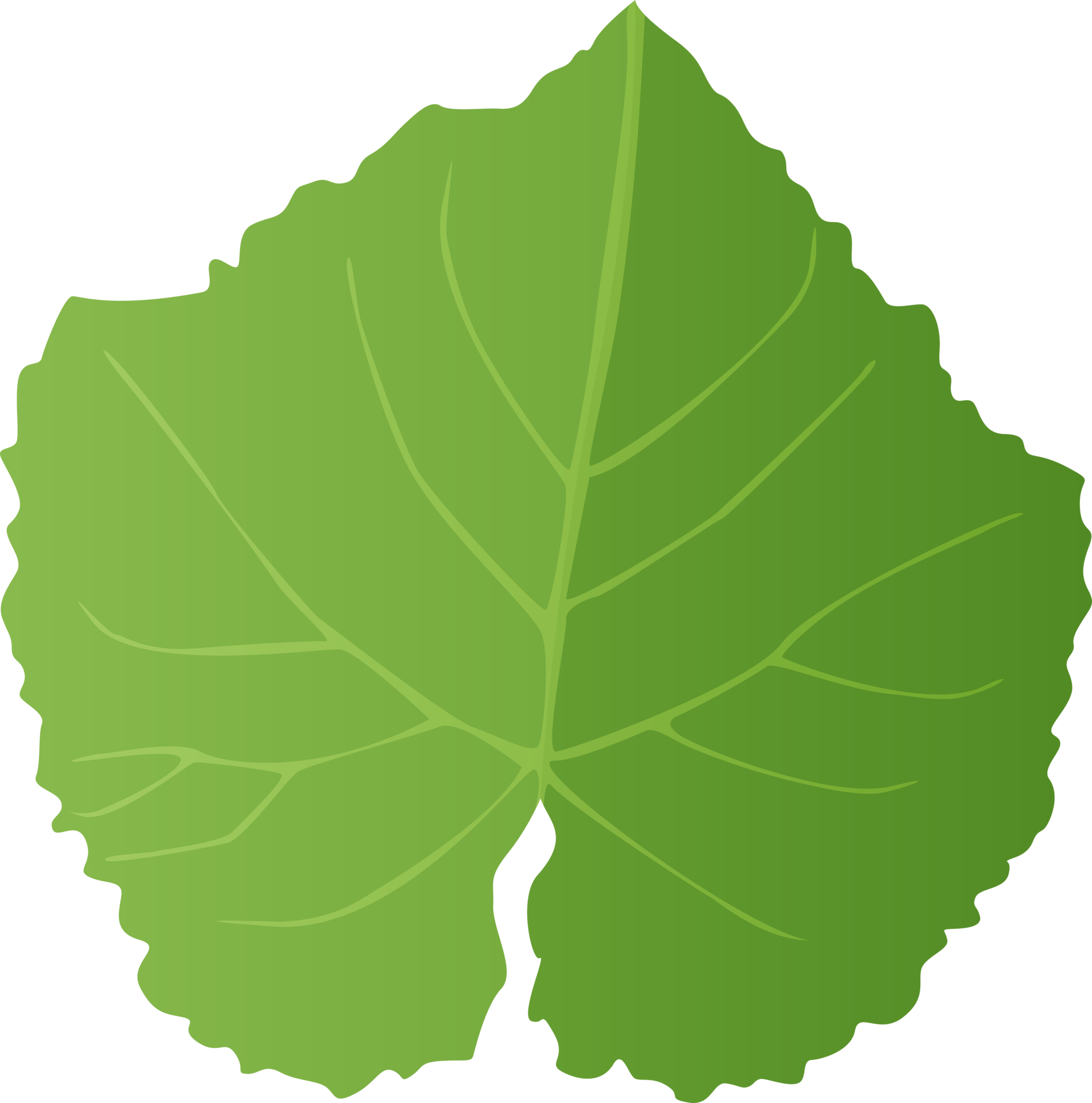 Green grape Leaf in realistic style. Autumn leaf. Colorful PNG