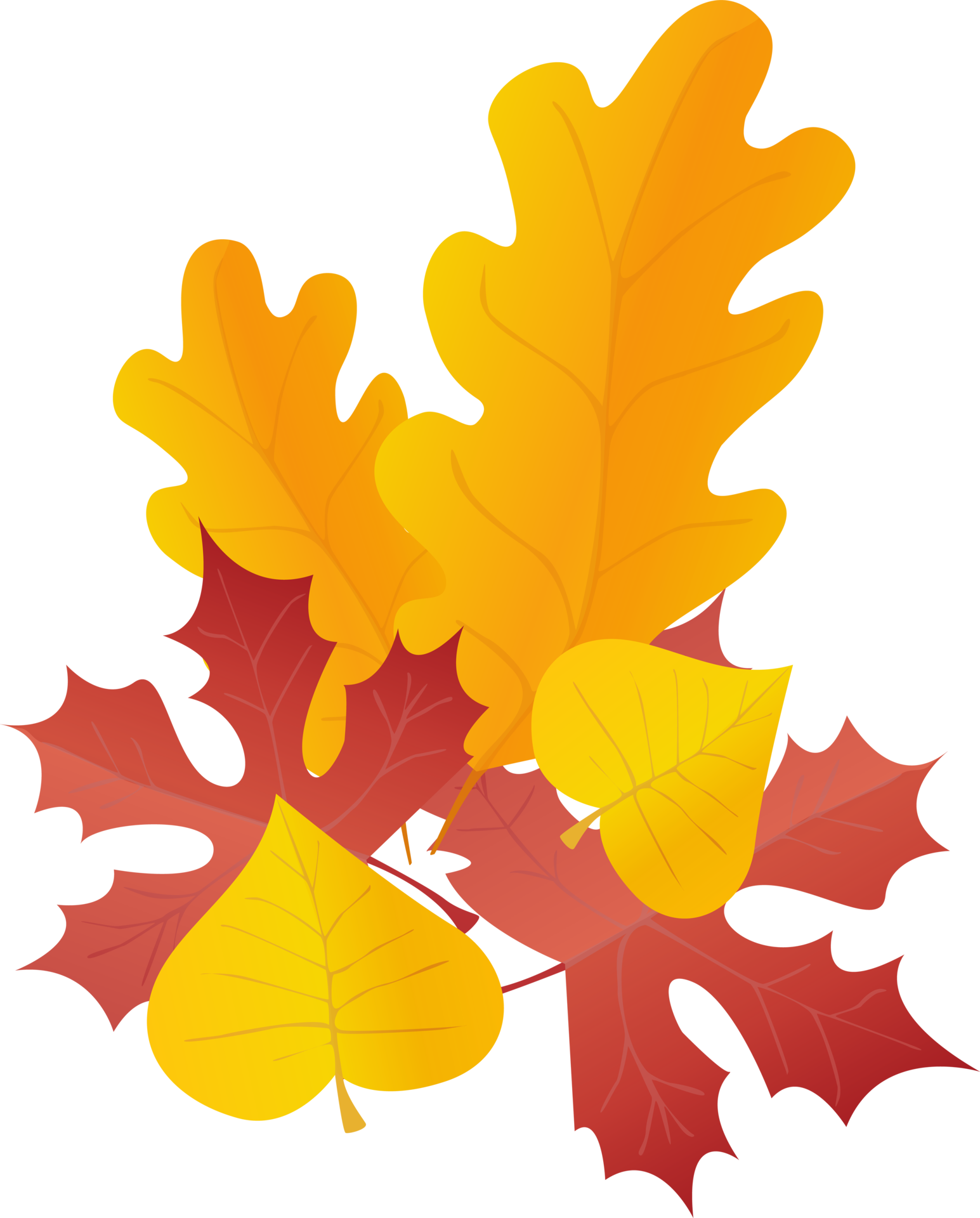 Leaves in red and yellow. PNG set in realistic style. Autumn leaf ...