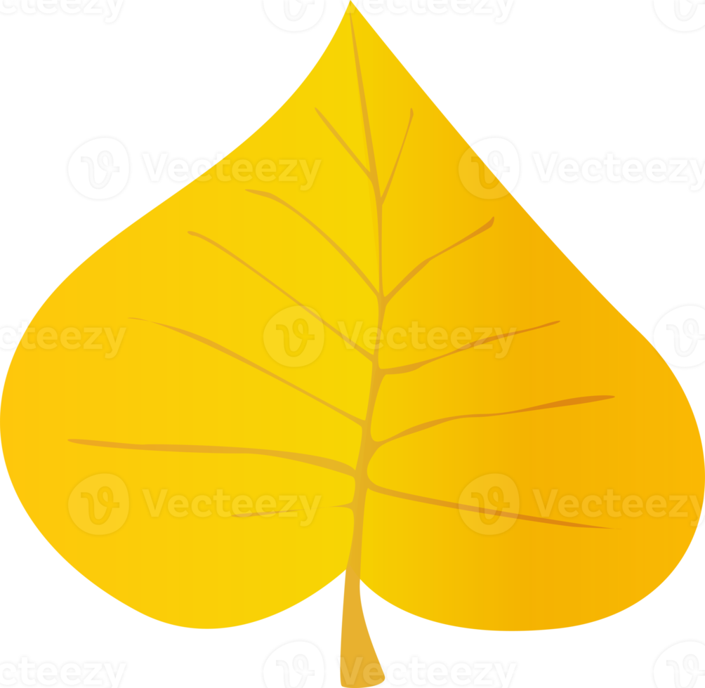 Yellow Leaf in realistic style. Autumn leaf. Colorful PNG illustration isolated on transparent background.