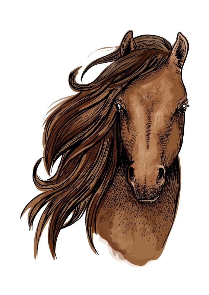 retrato artístico del caballo mustang marrón vector