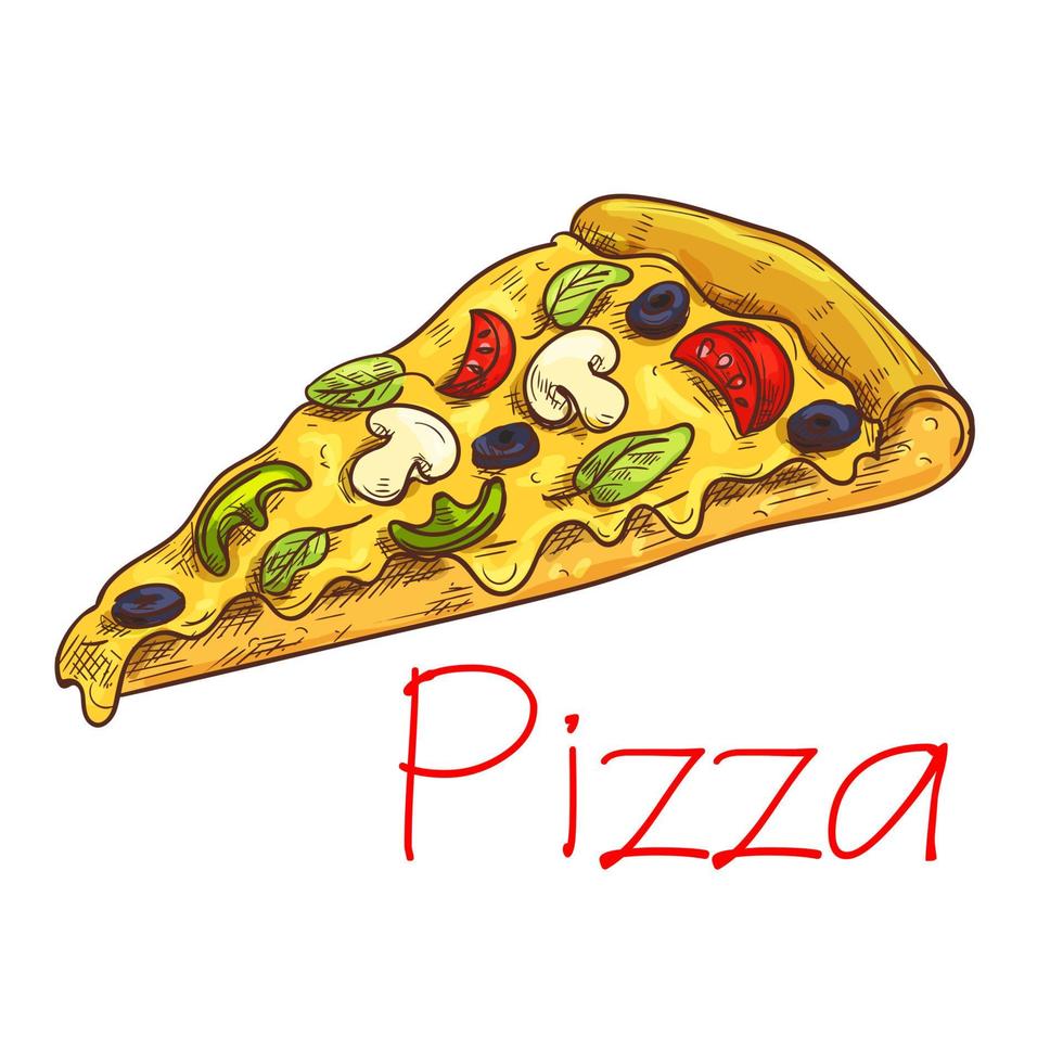 Pizza with cheese and vegetables sketch vector