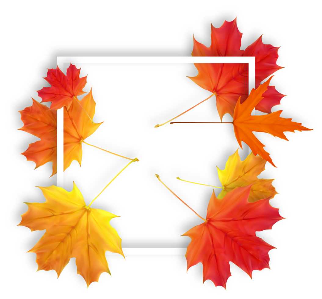 White Frame with Falling Leaves png