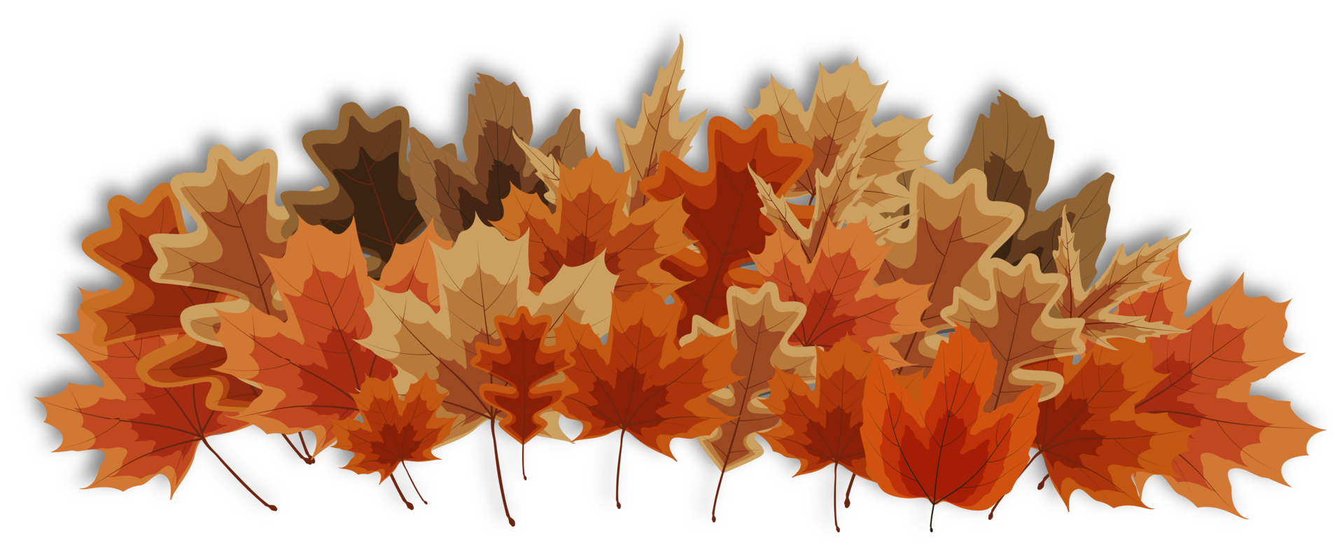 Autumn Dry Falling Leaves png