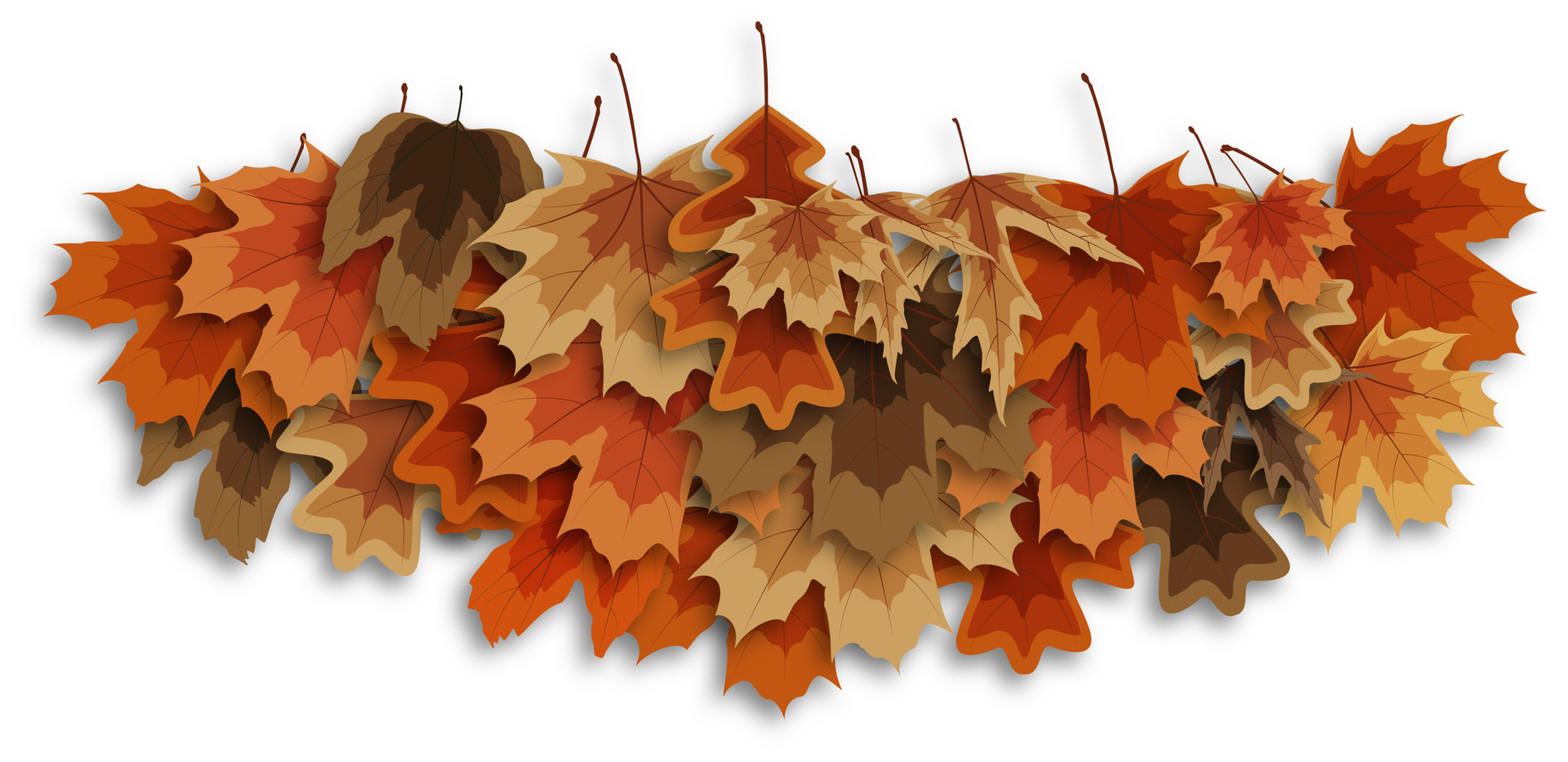 Collection of dried leaves isolated on transparent background. ai