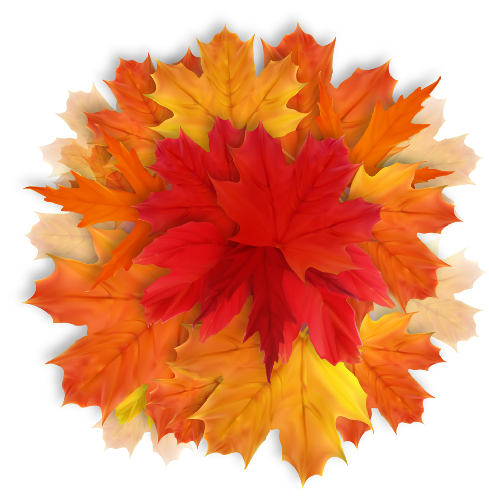 Autumn Leaves Background png