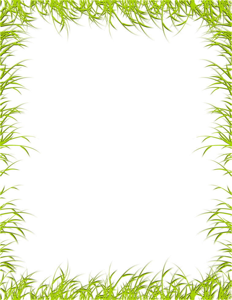 bordure de page d'herbe. cadre d'herbe png