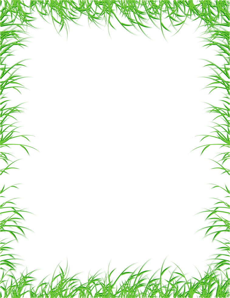 bordure de page d'herbe. cadre d'herbe png