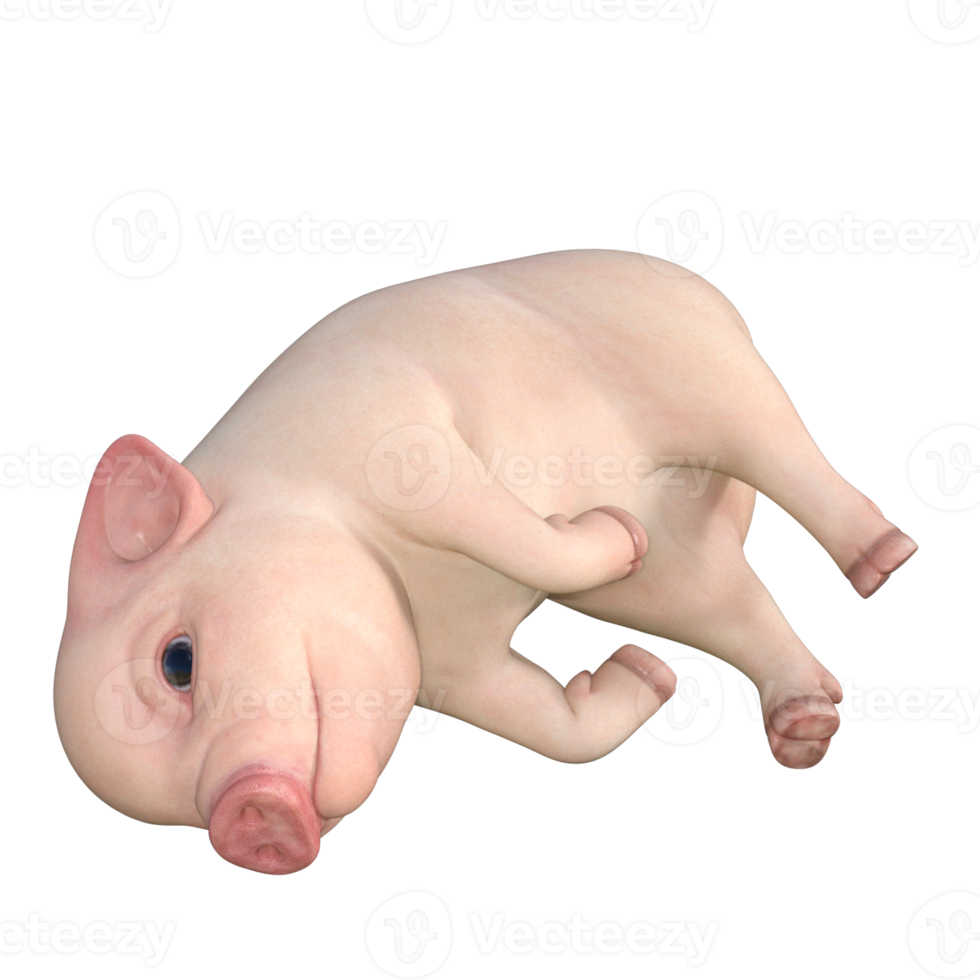 cute pig 3d rendering png