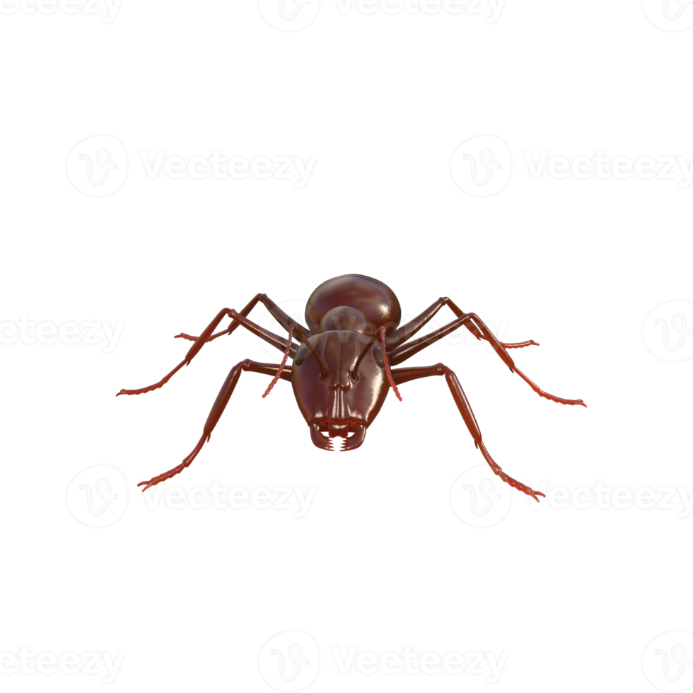 Ant 3d rendering png