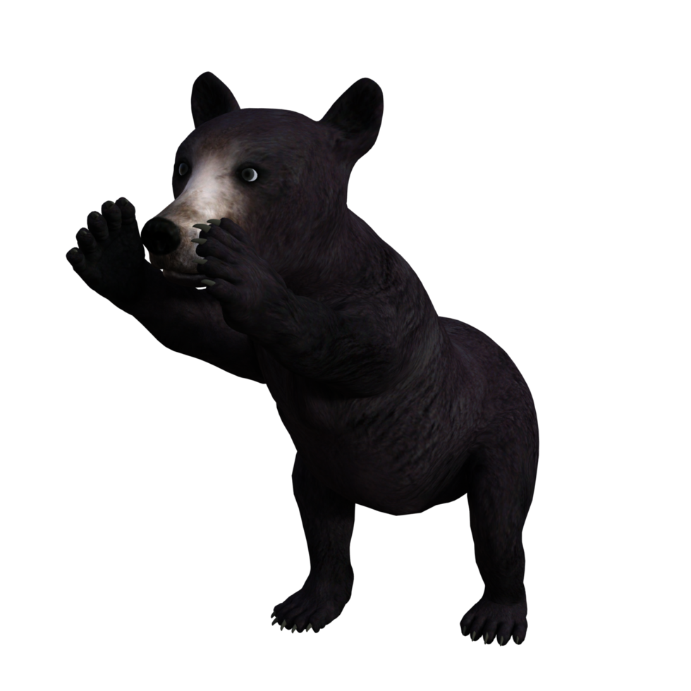 Panda Bear 3d render png