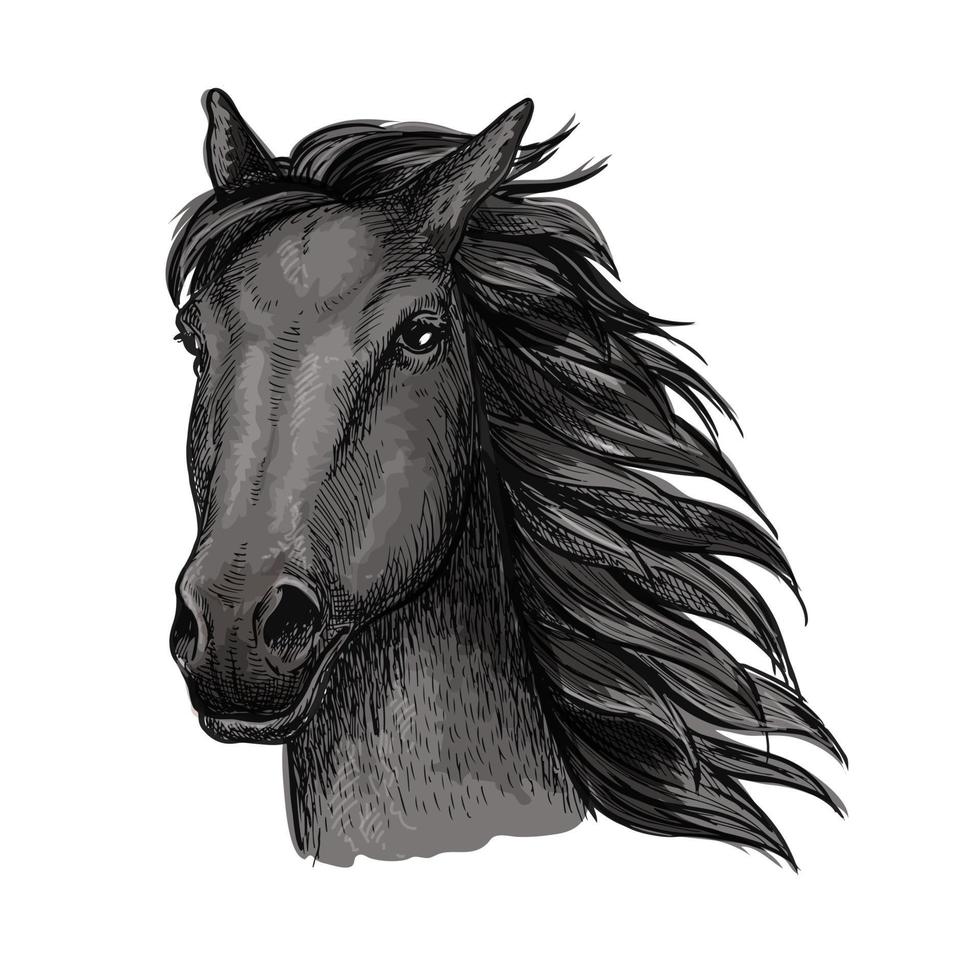 Black proud running horse portrait vector