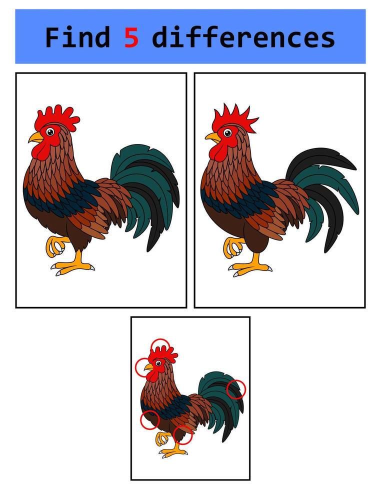 Find 5 differences Rooster vector