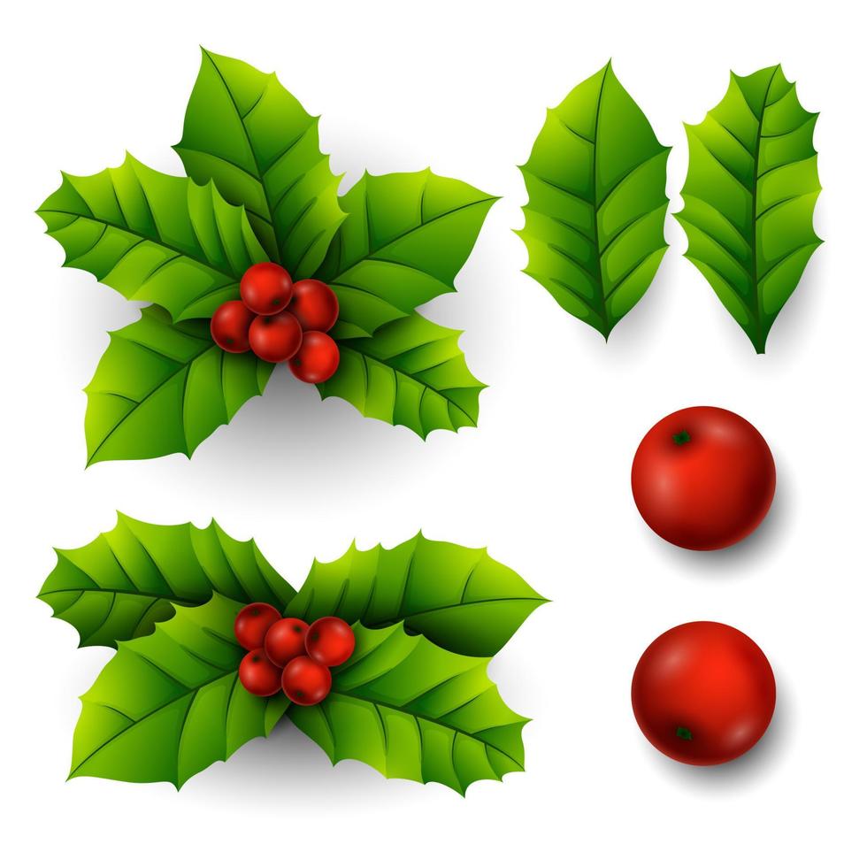 Christmas Holly Berry vector