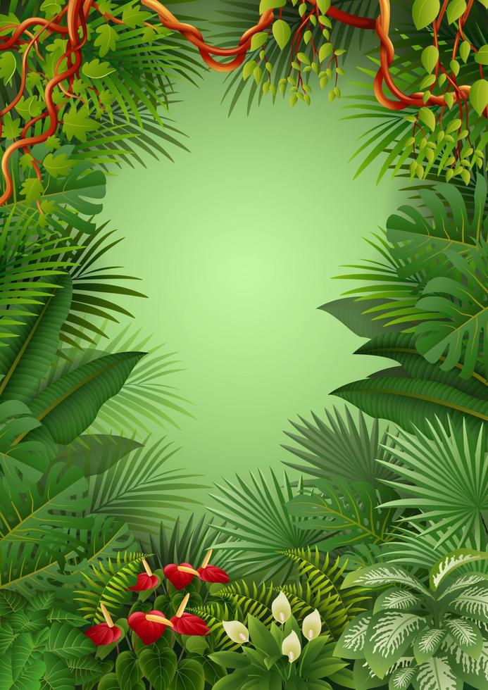 Vector illustration of Tropical jungle background
