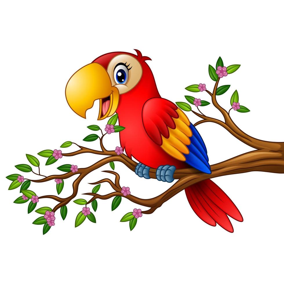 Cartoon macaw on tree branch vector