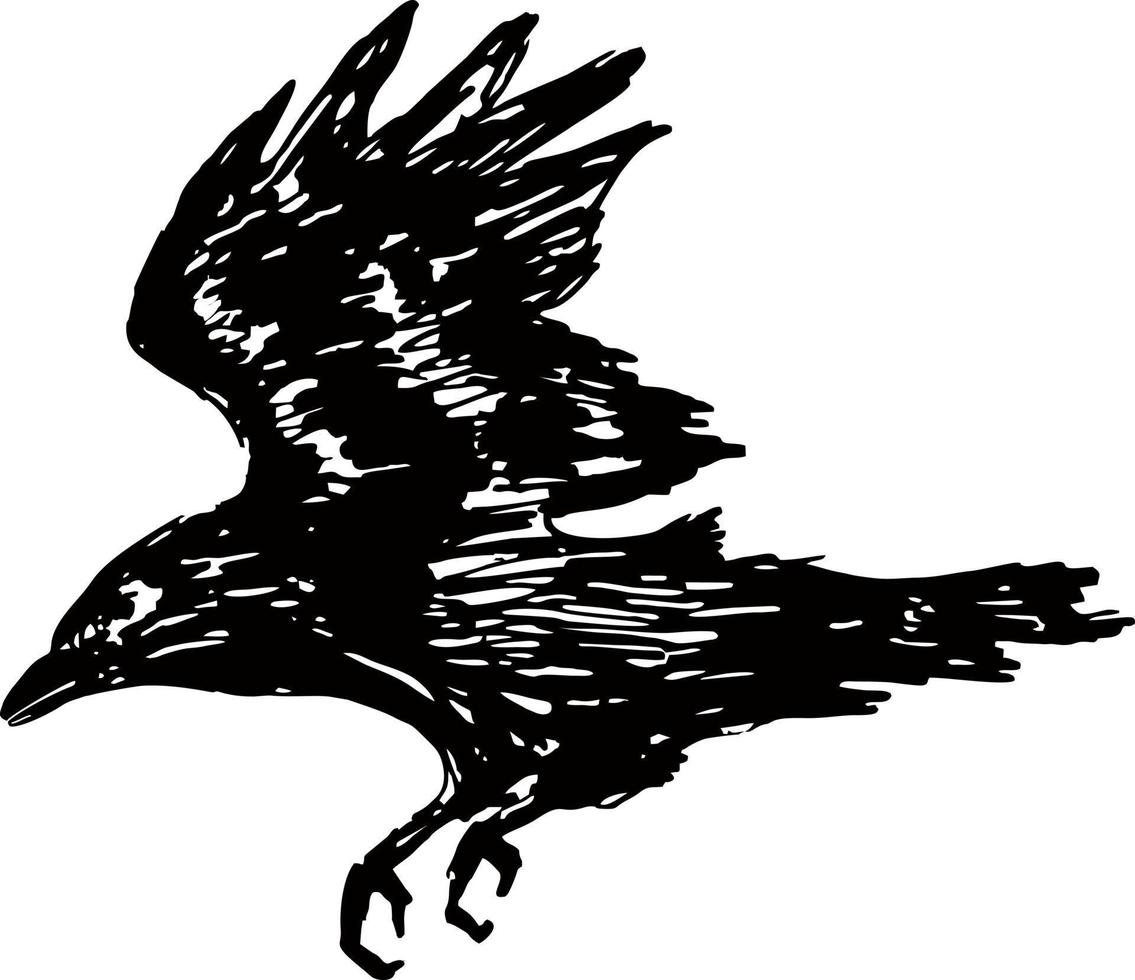 Flying Crow Outline Patterns DFX EPS PDF PNG and SVG Cut Files