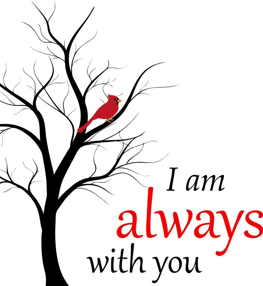 red cardinal bird in the tree branch. vector