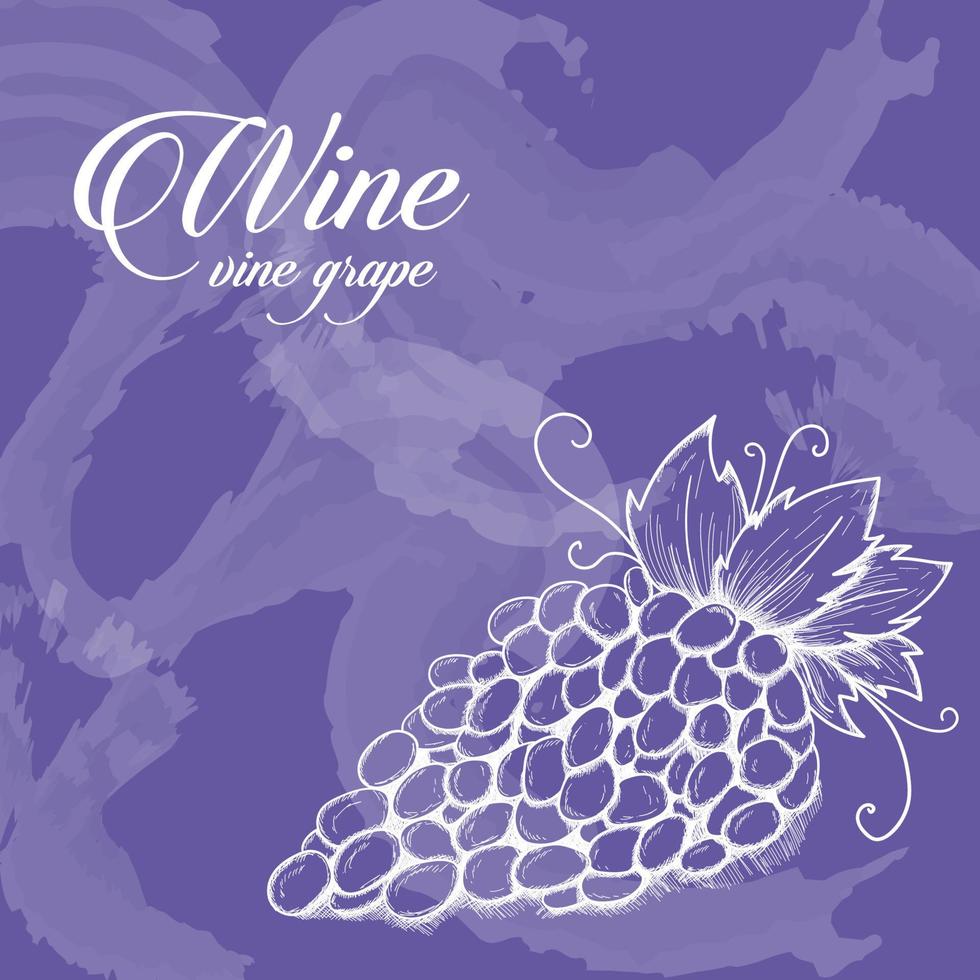 Sketch bunch of grapes vector