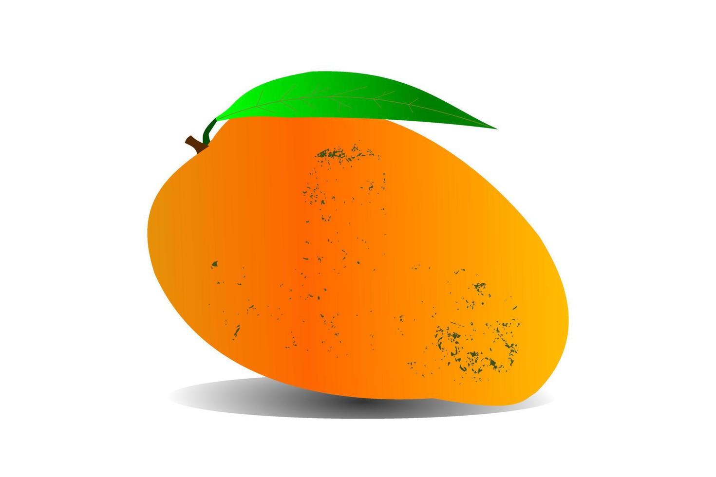 Ripe mango that looks fresh and delicious vector