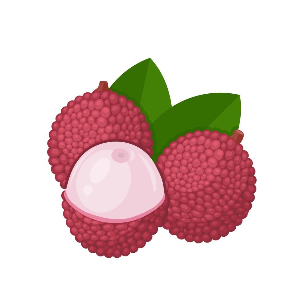 Vector illustration, lychee fruit with green leaves, isolated on white background.