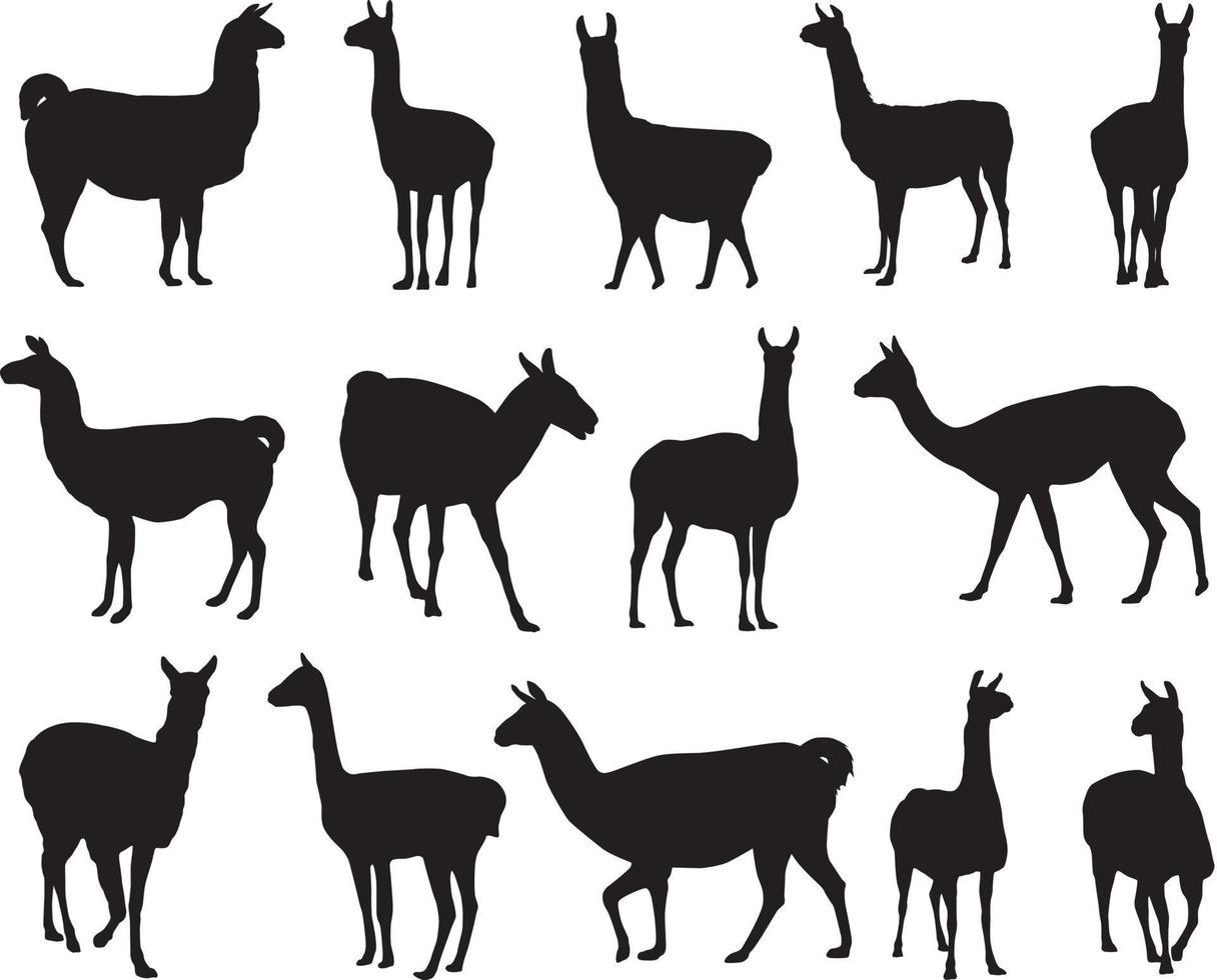 Lama silhouettes collection vector