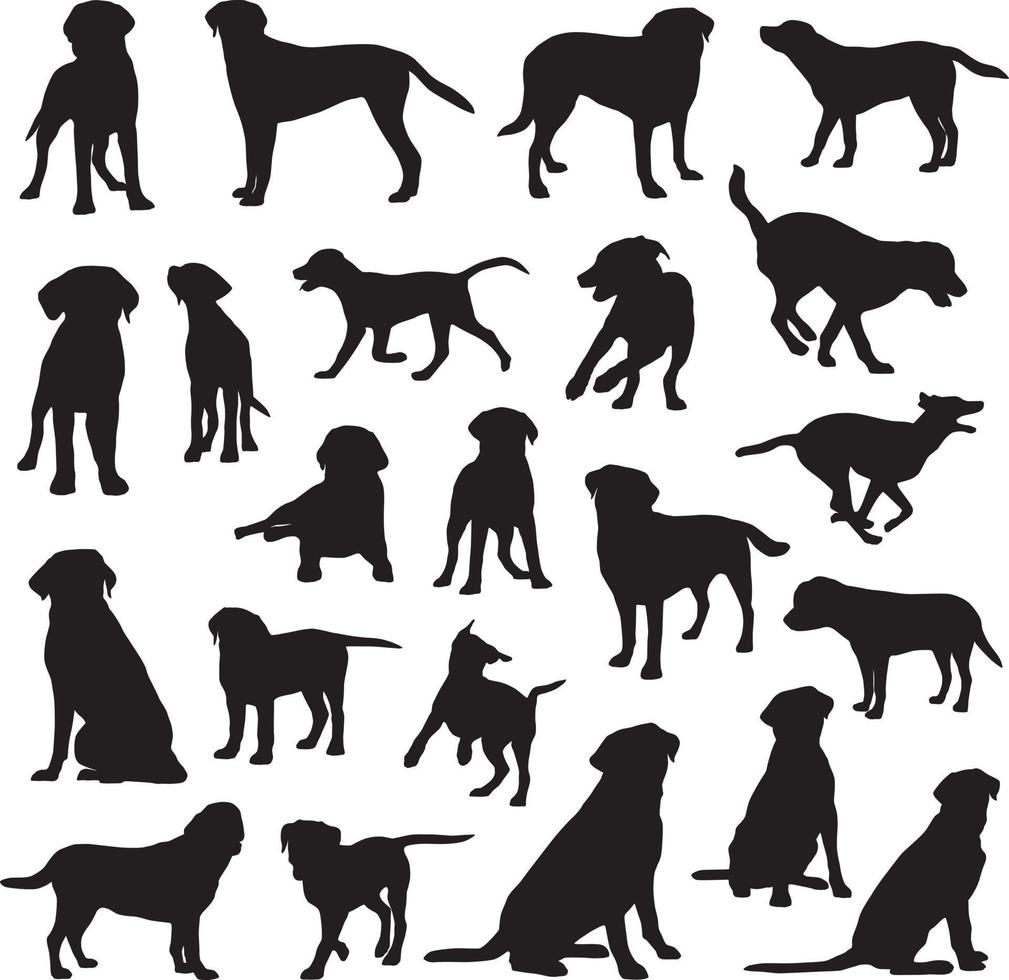 Labrador retriever silhouettes vector