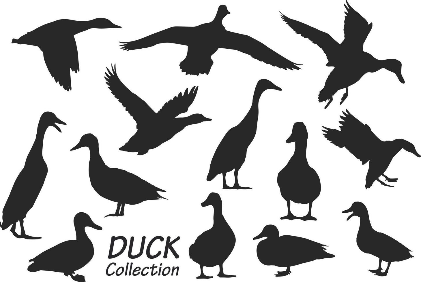 colección de siluetas de pato vector