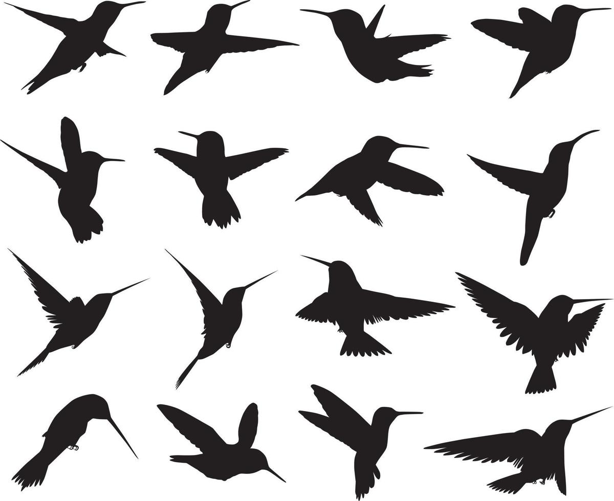 colección de siluetas de colibríes vector