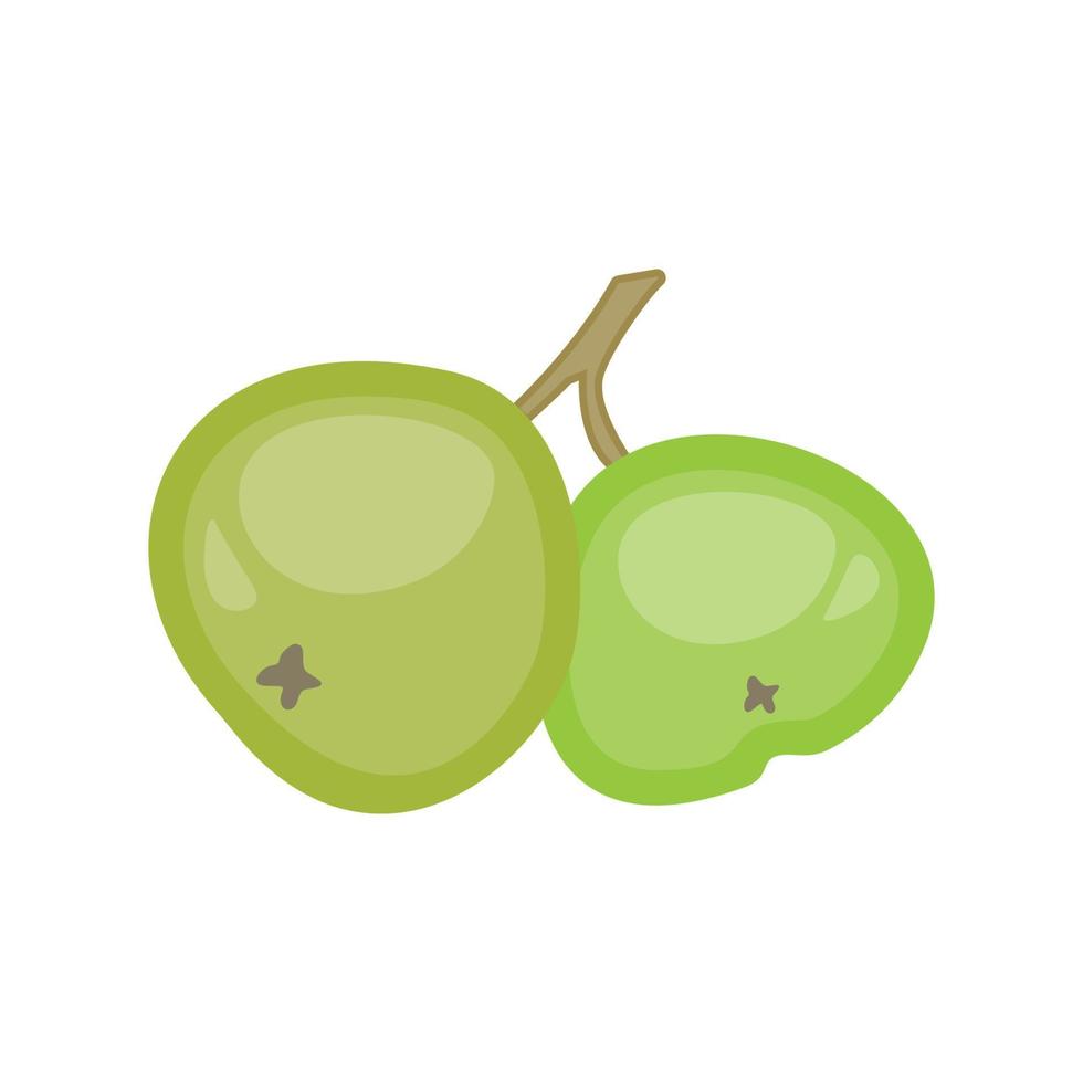 Vector illustration of a two-colored pomegranate