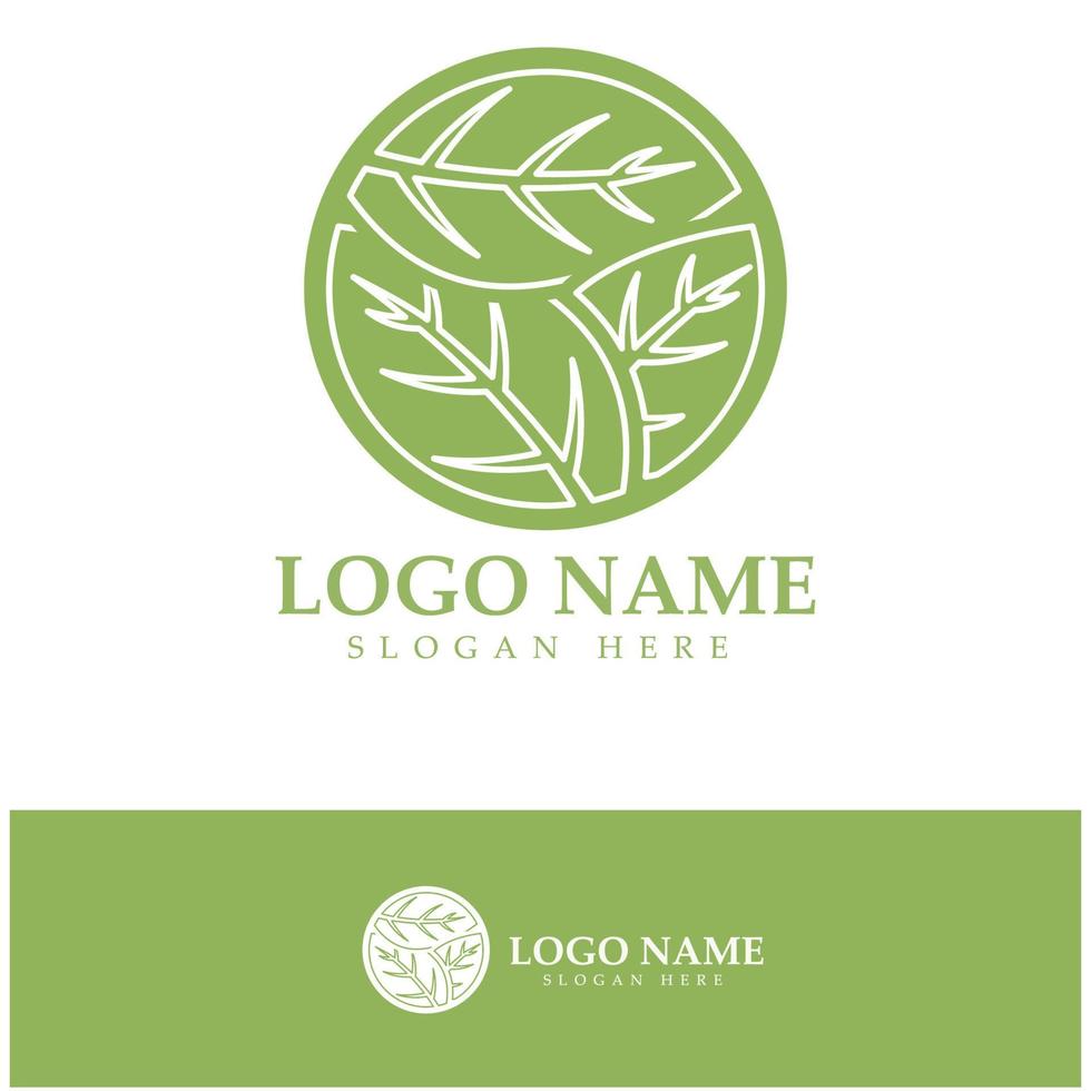 logotipo de árbol abstracto para bosque y naturaleza de parque. con una combinación de elementos de línea .vector para diseños de negocios, agricultura, conceptos ecológicos, vegetación y belleza natural. vector