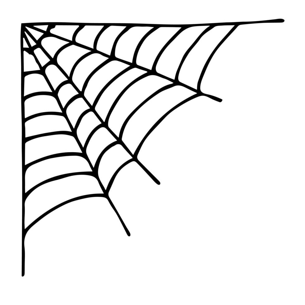Simple hand drawn spider web illustration. Cute gossamer clipart. Halloween doodle for print, web, design, decor, logo vector