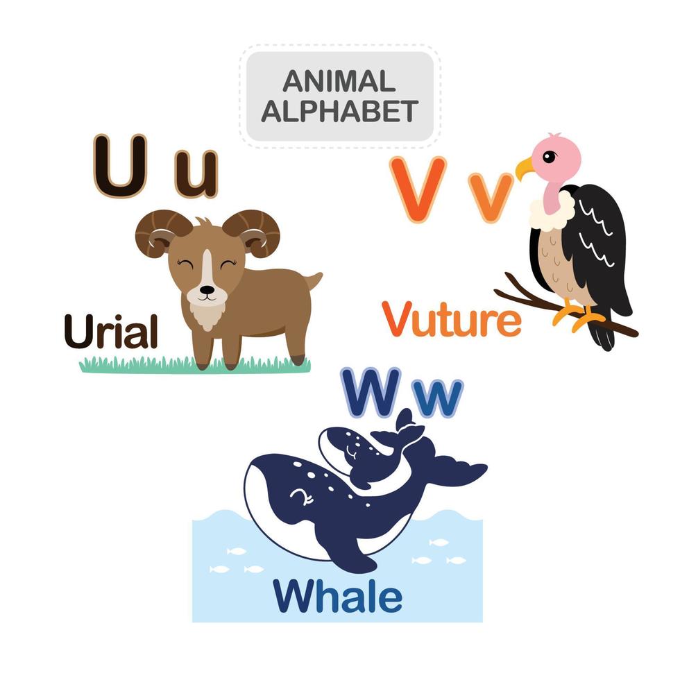 Cute animal alphabet from Letter U to W 11816997 Vector Art at Vecteezy