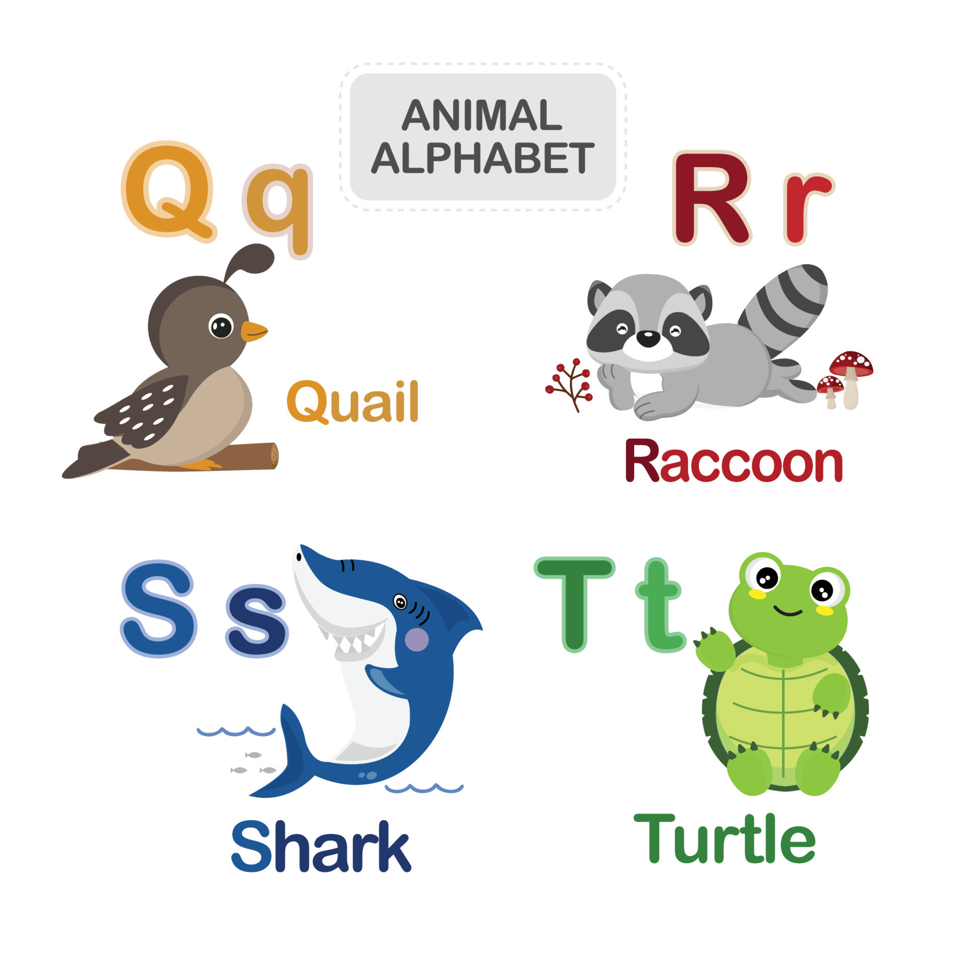 Cute animal alphabet from Letter Q to T 11817005 Vector Art at Vecteezy