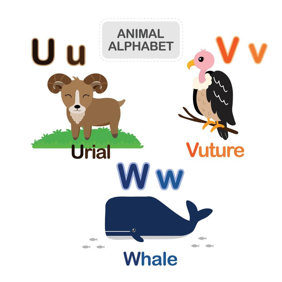 Cute animal alphabet from Letter U to W 11817011 Vector Art at Vecteezy