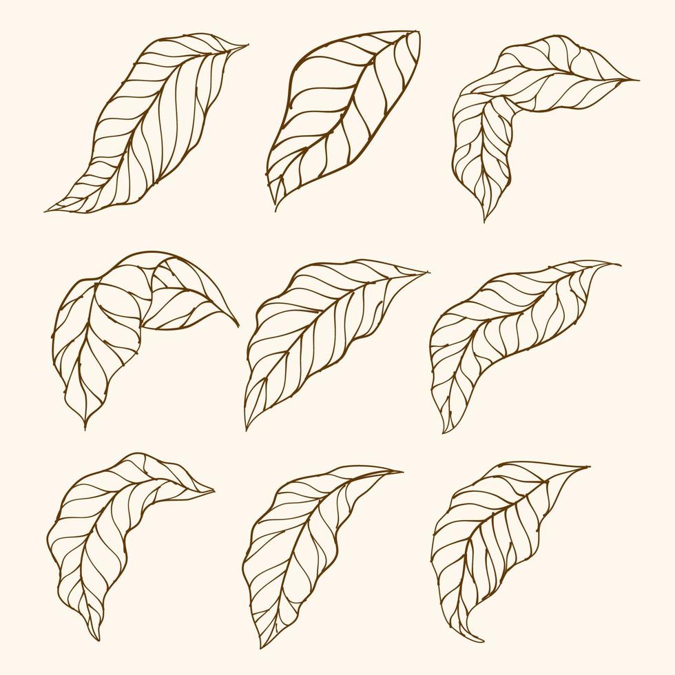Set of leaves. Vector Collection of Leaf Silhouettes. Hand Drawn leaves. Leaves Hand Drawn Doodle Line Art Outline Set Containing leaf, leaves. coffee plant leaves