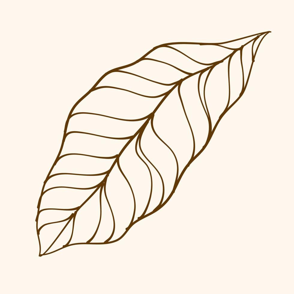 Leaf Ornament Vector Art. Hand drawn leave. leaf line. Leaf outline ornament vector. Vector hand drawn black line design elements.