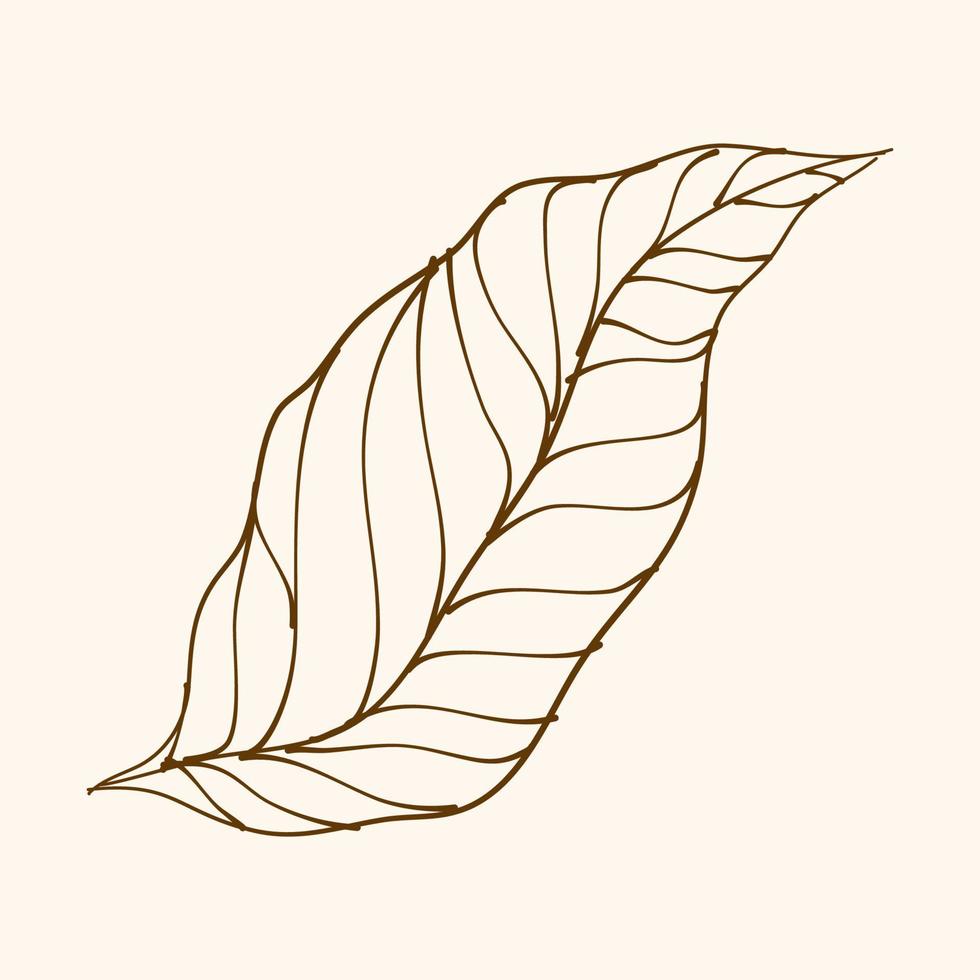 Leaf Ornament Vector Art. Hand drawn leave. leaf line. Leaf outline ornament vector. Vector hand drawn black line design elements.